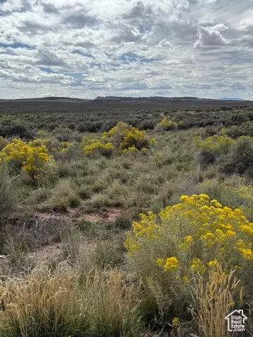 Undisclosed, La Sal, UT 84530