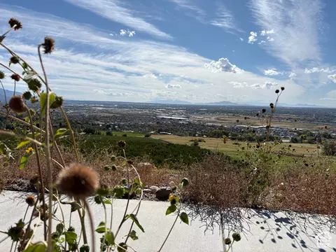 4133 N Moose Ln #125, Pleasant View, UT 84414