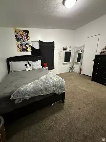 511 E 950 N #34, Ogden, UT 84404 photo 26