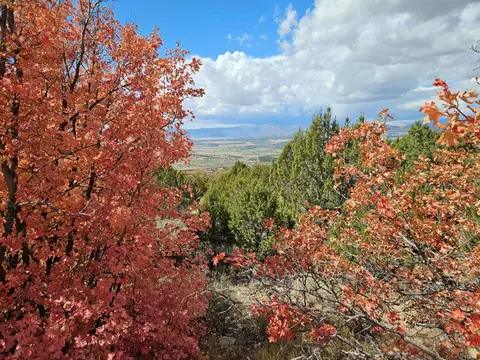 30 Elk Springs Dr S #30, Fairview, UT 84629