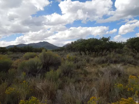 81 E Spring Draw Dr E #5, La Sal, UT 84530