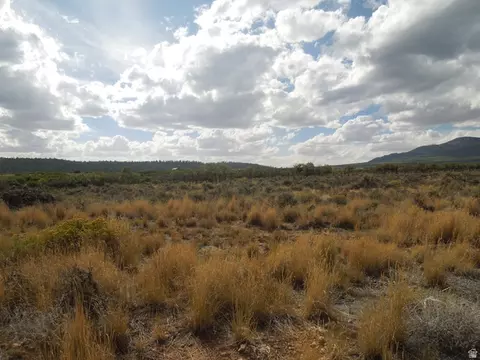 16 S Stone Rd S #1, La Sal, UT 84530