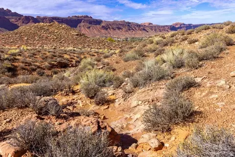 1479 S West Kayenta Dr, Moab, UT 84532 photo 31