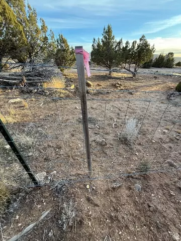 Undisclosed, Spring City, UT 84662 photo 10