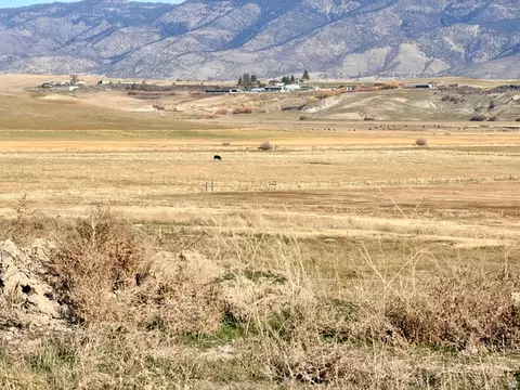 River Rd, Grace, ID 83241