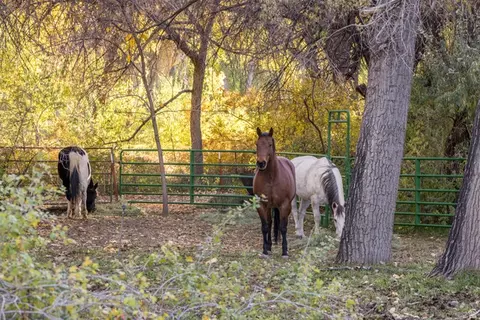 2927 S East Bench Rd, Moab, UT 84532 photo 42
