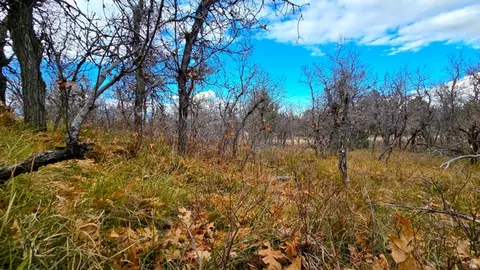 138 Phase 3 Section A #138, Mount Pleasant, UT 84647