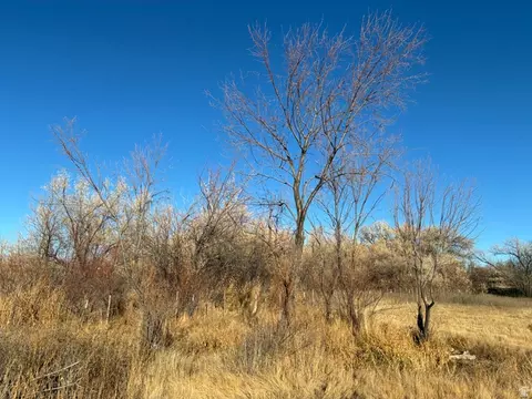 9813 E 4000 N, Lapoint, UT 84039 photo 13