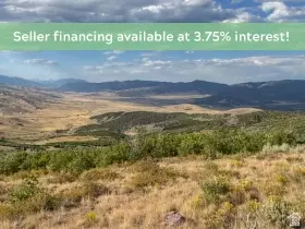 29010 N 8000 E #77, Fairview, UT 84629