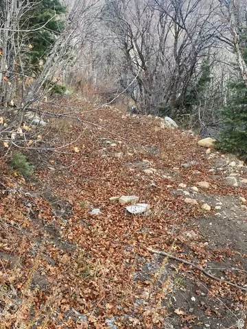 5946 E Upper Whitmore N #99, Springville, UT 84663 photo 2