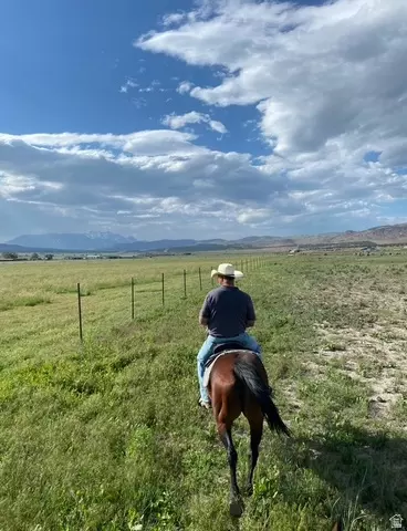 Undisclosed, Moroni, UT 84646