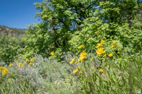 Undisclosed, Preston, ID 83263 photo 36