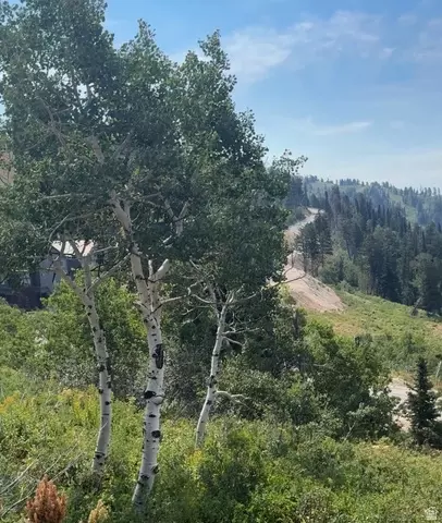 6825 E 6675 N #52, Eden, UT 84310 photo 11