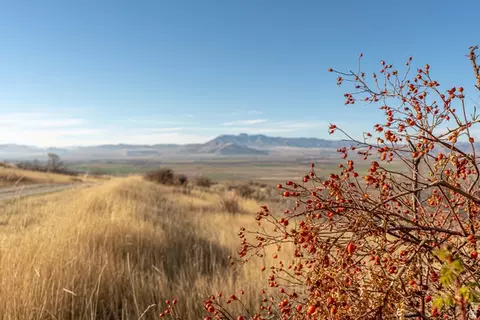Undisclosed, Richmond, UT 84333