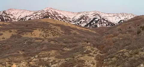 Other - 1085 E Windsor Dr, Provo, UT 84604 photo 18 of 18