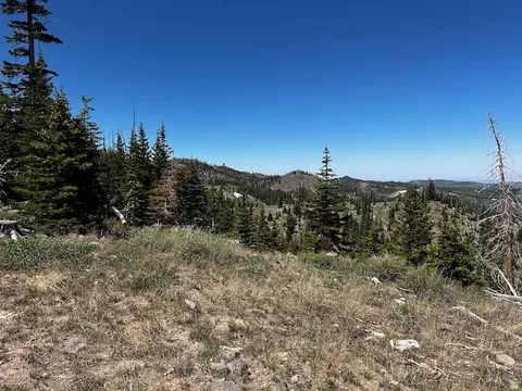 115 S Olympic Dr, Brian Head, UT 84719 photo 16