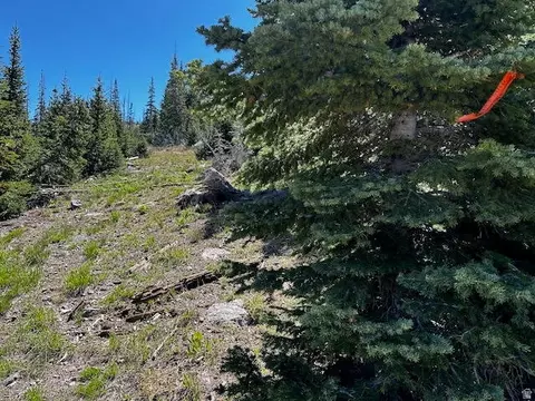 115 S Olympic Dr, Brian Head, UT 84719 photo 12