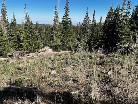 115 S Olympic Dr, Brian Head, UT 84719 photo 3