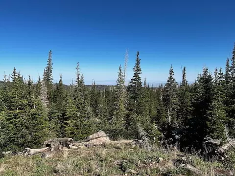 115 S Olympic Dr, Brian Head, UT 84719 photo 4