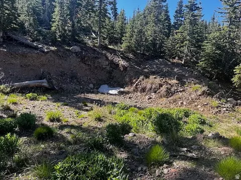 115 S Olympic Dr, Brian Head, UT 84719 photo 7