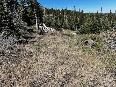 115 S Olympic Dr, Brian Head, UT 84719 photo 15