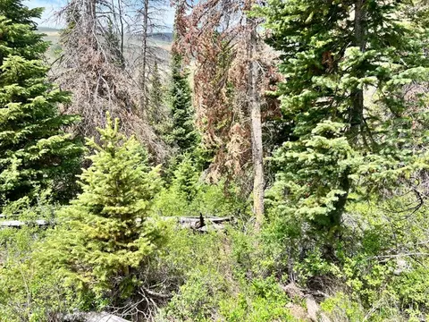 Undisclosed, Scofield, UT 84526 photo 18
