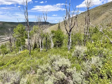 Undisclosed, Scofield, UT 84526 photo 14