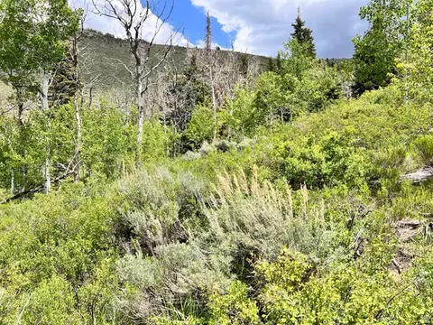 Undisclosed, Scofield, UT 84526 photo 12