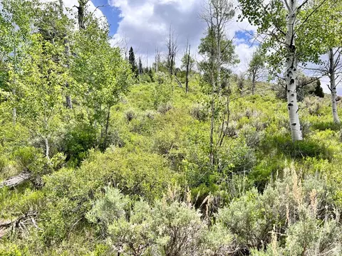 Undisclosed, Scofield, UT 84526 photo 13