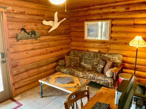 Living - 76 S Sr 118, Central Valley, UT 84754 photo 9 of 13
