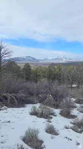 60 S Wray Mesa Rd #2, La Sal, UT 84530