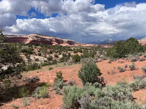 49 W Ryan Ct #2, Moab, UT 84532 photo 9