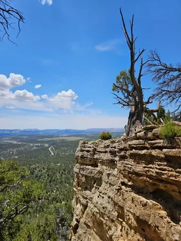Undisclosed, Mount Carmel, UT 84755 photo 9