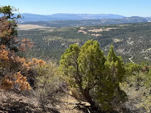 4 Mineral Springs Rd, Mount Carmel, UT 84755 photo 5