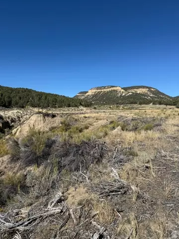 4 Mineral Springs Rd, Mount Carmel, UT 84755 photo 9