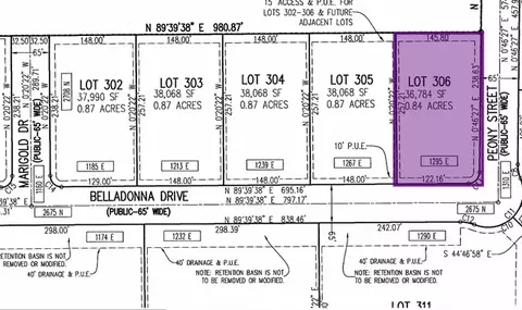 1295 E Belladonna Dr S #306, Eagle Mountain, UT 84005 photo 2