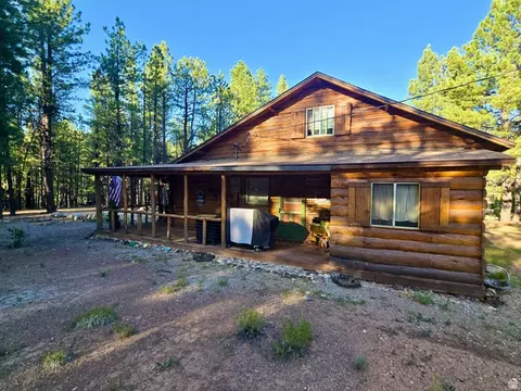 Exterior - 260 E Jensen Trl, Hatch, UT 84735 photo 5 of 12