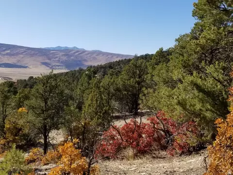 Undisclosed, Indianola, UT 84629