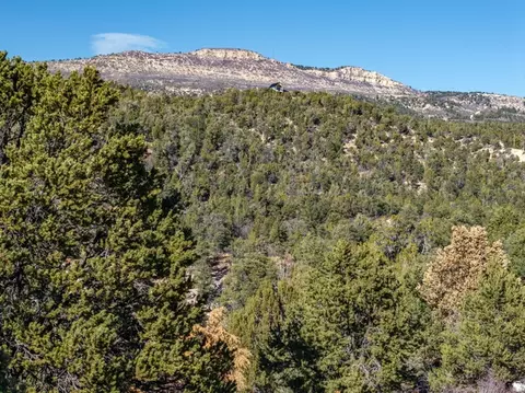 6 S North Fork Rd, Orderville, UT 84758 photo 19
