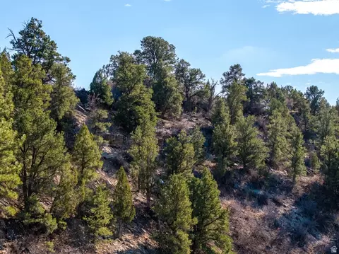 6 S North Fork Rd, Orderville, UT 84758 photo 22