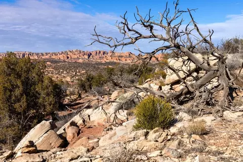 12 Pritchett Arch Trl #32, Moab, UT 84532 photo 5