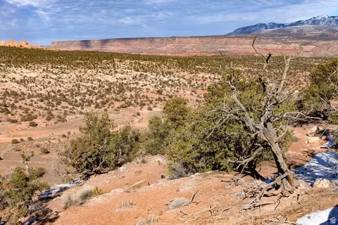 12 Pritchett Arch Trl #32, Moab, UT 84532 photo 11