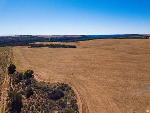 100 S Pearson Cutoff Rd, Monticello, UT 84535