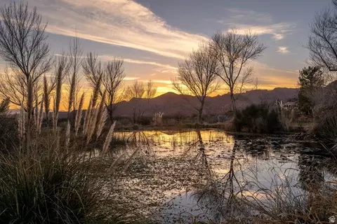 Other - 779 S Silver Rd, Leeds, UT 84746 photo 2 of 29