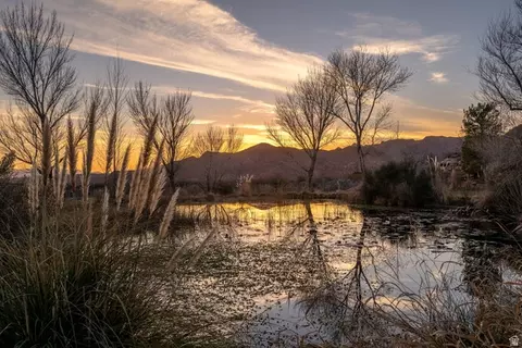Other - 779 S Silver Rd, Leeds, UT 84746 photo 2 of 31