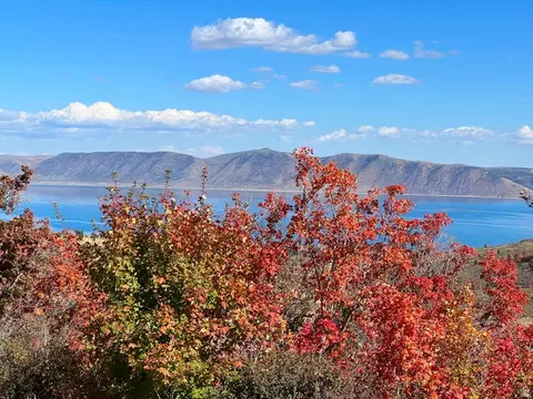 950 S Boosway Cir #71, Garden City, UT 84028