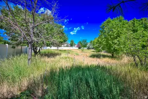 847 E Willow Springs Ln S, Draper, UT 84020 photo 19