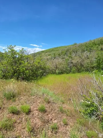 4810 E Badger Hollow Ln, Salt Lake City, UT 84108
