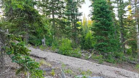 Undisclosed, Beaver, UT 84713 photo 6