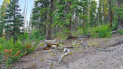 Undisclosed, Beaver, UT 84713 photo 5